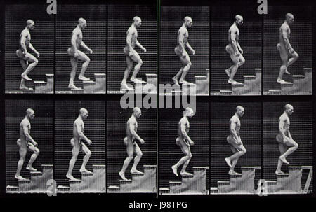 洋書 THE HUMAN FIGURE IN MOTION Human Figure in Motion: Muybridge, Eadweard: 9780517641071