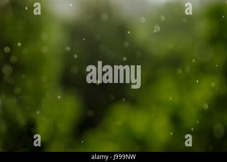Rainy texture. Bokeh lights and Falling rain drops on a green background. Stock Photo