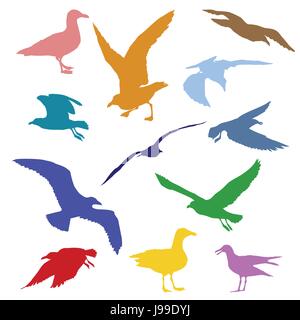 Set of silhouettes of seagulls in different colors isolated on white background Stock Vector