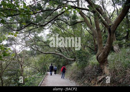 (170601) -- HONG KONG, June 1, 2017 (Xinhua) -- People walk along the Hong Kong Trail in Hong Kong, south China, Jan. 20, 2013.  (Xinhua/Li Peng)(mcg) Stock Photo