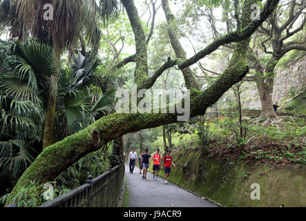 (170601) -- HONG KONG, June 1, 2017 (Xinhua) -- People walk along the Lugard Road in Hong Kong, south China, May 21, 2017. (Xinhua/Li Peng)(mcg) Stock Photo