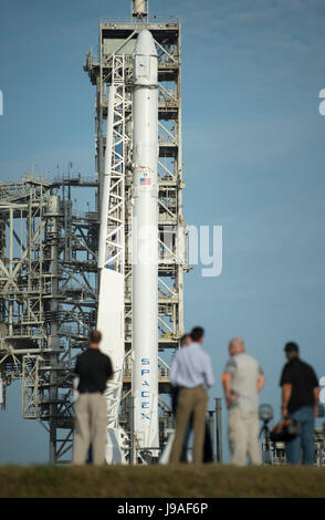 The SpaceX Falcon 9 rocket, with the Dragon spacecraft onboard, is seen shortly after being raised vertical at Launch Complex 39A at NASA's Kennedy Space Center in Cape Canaveral, Florida, Thursday, June 1, 2017. Dragon is carrying almost 6,000 pounds of science research, crew supplies and hardware to the International Space Station in support of the Expedition 52 and 53 crew members. The unpressurized trunk of the spacecraft also will transport solar panels, tools for Earth-observation and equipment to study neutron stars. This will be the 100th launch, and sixth SpaceX launch, from this pad. Stock Photo