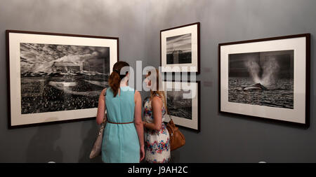 Prague, Czech Republic. 01st June, 2017. Travelling exhibition Genesis of Brazilian photographer Sebastiao Salgado presents more than 200 spectacular black and white photographs of arctic and desert landscapes, tropical rainforests, marine and other wildlife, and indigenous peoples in Prague Castle, Queen Anne´s Summer Palace, Czech Republic, June 1, 2017. Credit: Michal Krumphanzl/CTK Photo/Alamy Live News Stock Photo