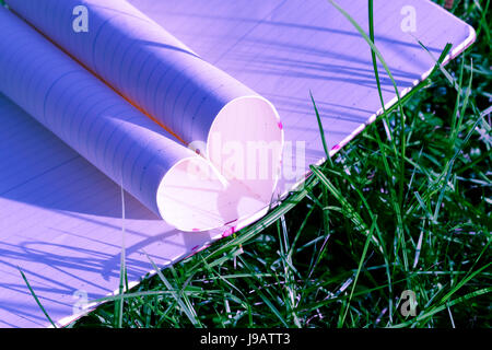 heart paper book on green grass Stock Photo