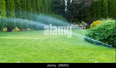 Irrigation of the green grass with sprinkler system. Stock Photo