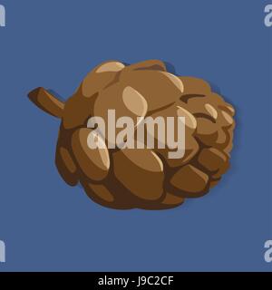 Pine Cone Graphic Illustration Vector Stock Vector