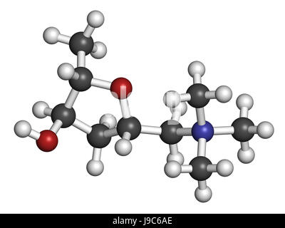 Muscarine mushroom toxin molecule. Agonist of the muscarinic acetylcholine receptors. 3D rendering. Atoms are represented as spheres with conventional Stock Photo