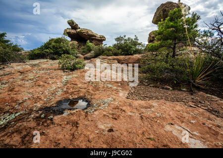 Reflecting pools are scarce in this rugged terrain in Chiricahua National Monument of southeastern Arizona. Stock Photo