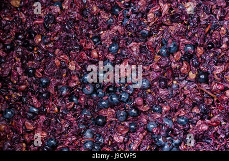 Crushed grapes for wine background Stock Photo