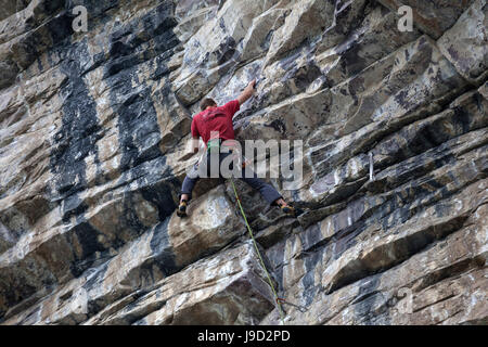 Mountaineer, climber in a steep face, Banff National Park, Rocky Mountains, Alberta, Canada