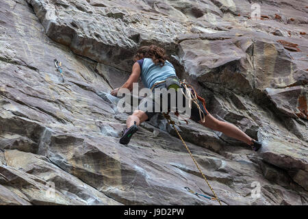 Female mountaineer, climber in a steep face, Banff National Park, Rocky Mountains, Alberta, Canada