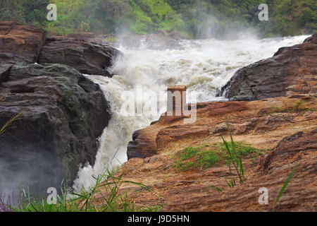 africa, uganda, dash, go quickly, fast, quick, quickly, speed, velocity, river, Stock Photo