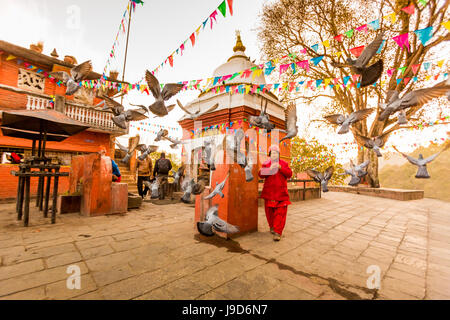 Woman walking and praying with pigeons at the hilltop temple, Bhaktapur, Kathmandu Valley, Nepal, Asia Stock Photo