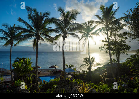 Palm trees in backlight in Niue, South Pacific, Pacific Stock Photo