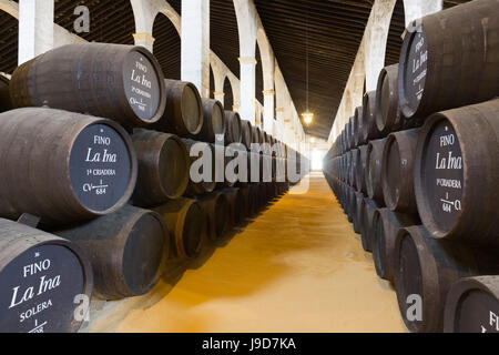 Sherry barrels at the Lustau Bodega, Jerez de la Frontera, Cadiz province, Andalucia, Spain, Europe Stock Photo