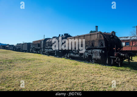 Old steam trains from the Dorrigo railway line, Dorrigo National Park, New South Wales, Australia, Pacific Stock Photo
