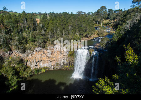 Dangar Falls, UNESCO World Heritage Site, Dorrigo National Park, New South Wales, Australia, Pacific Stock Photo