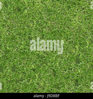 Green grass seamless texture. Seamless in horizontal and vertical dimensions. Stock Photo