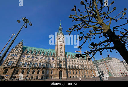 City Hall, Hamburg, Germany, Europe Stock Photo