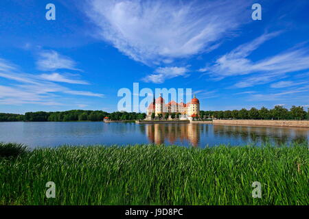 Moritzburg Castle near Dresden, Saxony, Germany, Europe Stock Photo
