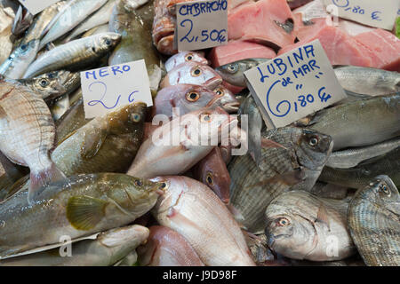 Fresh fish in the Mercado Central de Abastos food market, Jerez de la Frontera, Cadiz province, Andalucia, Spain, Europe Stock Photo