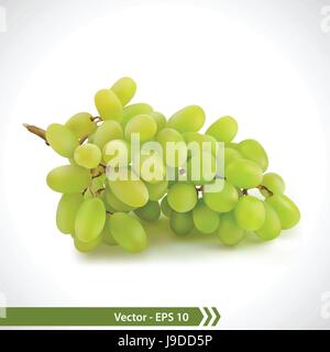 Vector Illustration of Photo Realistic Green Grapes isolated on a white background Stock Vector