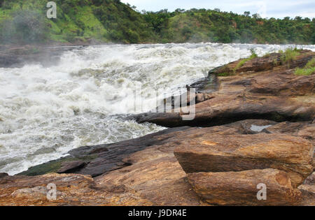 africa, uganda, dash, go quickly, fast, quick, quickly, speed, velocity, river, Stock Photo