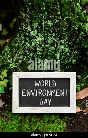 closeup of a wooden-framed chalkboard with the text world environment day in the trunk of a tree in the forest Stock Photo