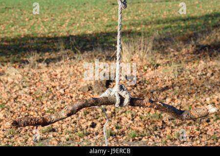 Basic Swing constructed from rope and branch Stock Photo