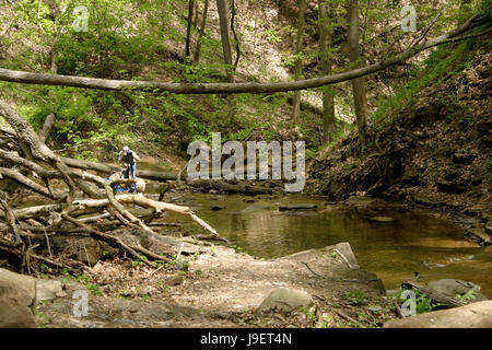 Photographer taking pictures in the woods, by the water, using a tripod Stock Photo