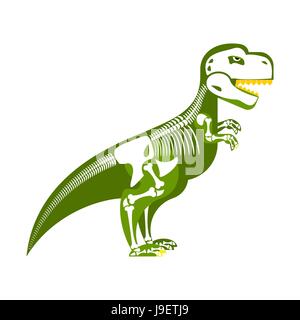 Dinosaur skeleton. Bone up on my body. T-Rex and skull. Tyrannosaurus prehistoric monster predator Raptor Stock Vector