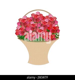 Basket of flowers on a white background. Large basket of red roses. Vector illustration Stock Vector