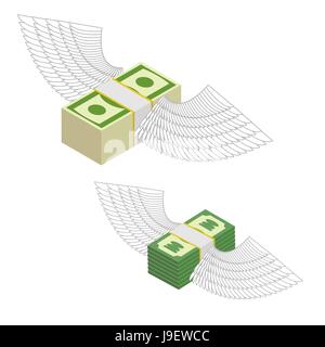 Flying stack of money with white wings, 3D vector illustration png on ...