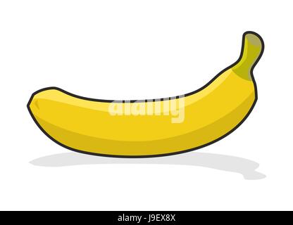 Yellow ripe banana on  white background. Tropical fresh fruit. Stock Vector