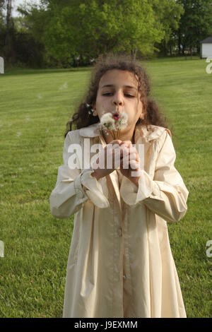 Girl blowing into dandelion puffs Stock Photo