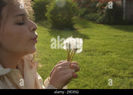 Girl blowing into dandelion puffs Stock Photo