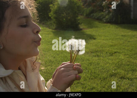 Girl blowing into dandelion puffs Stock Photo