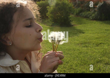 Girl blowing into dandelion puffs Stock Photo