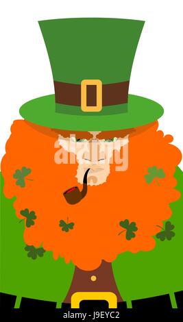 Leprechaun in Green Hat. Portrait serious leprechaun with big Red Beard. Angry leprechaun with smoking pipe. Illustration for St. Patrick's day celebr Stock Vector