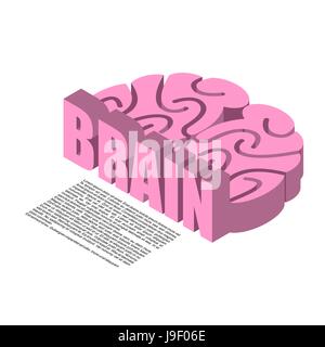 Brain anatomy infographics with front and side profile views of human ...