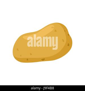 Potatoes isolated. Vegetables on white background. Eating vegetarian Stock Vector