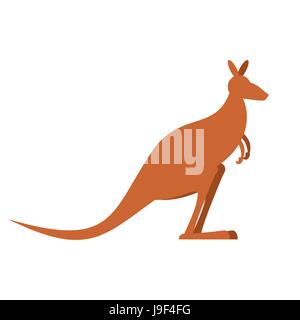Kangaroo isolated. wallaby on white background. Australian animal Stock Vector