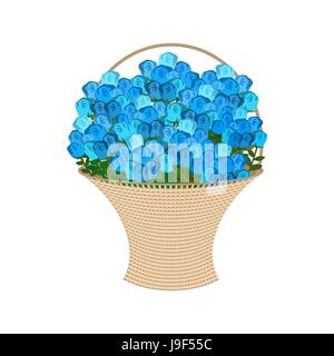 Blue roses Basket. large bouquet of flowers isolated Stock Vector