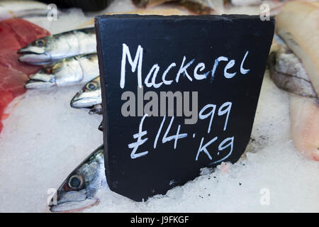 Kg price / kilogram tag board & selection of wet fish / mackerel, freshly caught, for sale at indoor market stall / stalls of West Quay, Whitstable UK Stock Photo