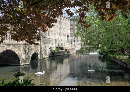 Two swans in the river Avon by the road bridge and Avon Mill at Malmesbury, Wiltshire, UK Stock Photo