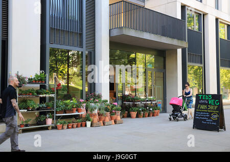 Ted's veg farm shop, in trendy East Village, former home of the Olympic athletes, in Stratford E20, east London, UK Stock Photo