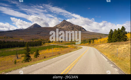 All the trees on the high hill have been burned clean from a fire caused by lightning near the road in Yellowstone Stock Photo