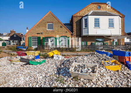 England, Kent, Whitstable, Piles of Oyster Shells and Waterfront Buildings, Stock Photo