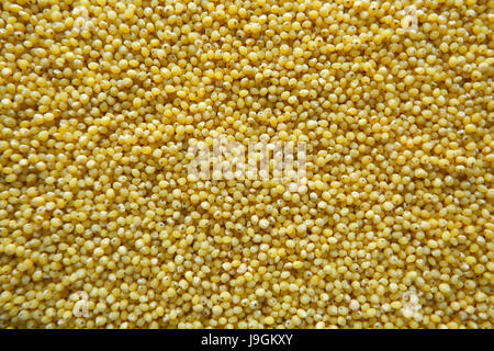 Food: Millet seeds Stock Photo
