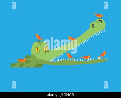 Crocodile and bird. Little birds clean alligator teeth. Symbiotic relationship Stock Vector